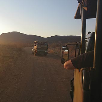 Safari en Afrique du sud